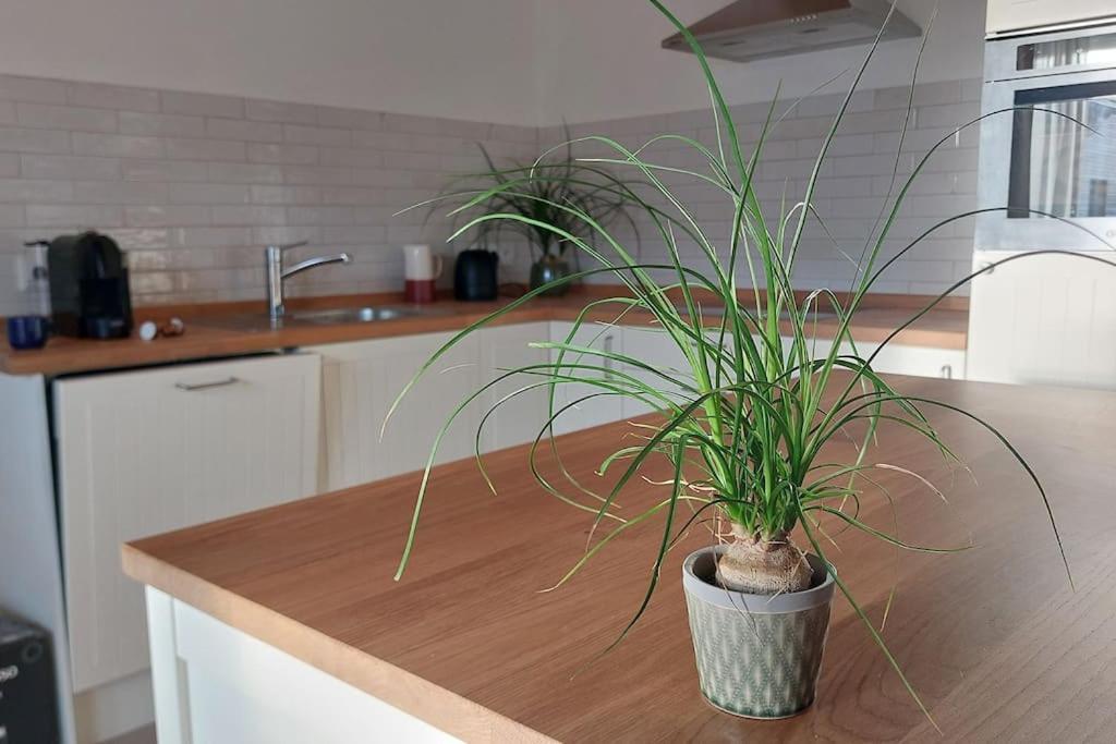 Ferienwohnung Stern Unterthingau Екстериор снимка